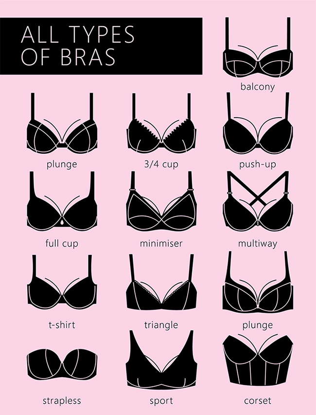 Types Of Bra Chart