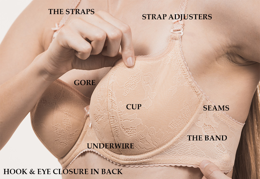 Which Hook Should Your New Bra Be